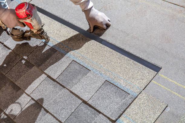 Best Roof Repair Services  in Iowa Falls, IA