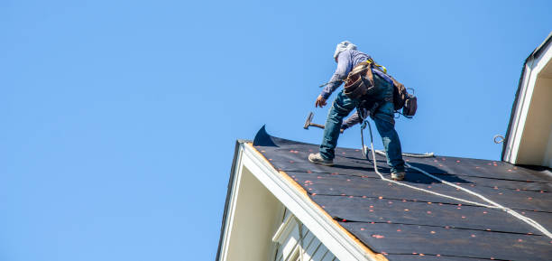 Best Residential Roofing Contractor  in Iowa Falls, IA